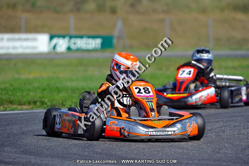 DSC_ (1247).jpg